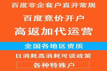 百度竞价账户托管的技巧与策略：从入门到精通的案例解析